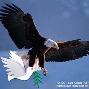 Meet your Posher, Shirley